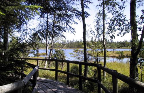 Ferienwohnung Kuckuck auf dem Sommerberg incl Schwarzwald Plus-Karte - 2 Zimmer 50qm - Foto 66