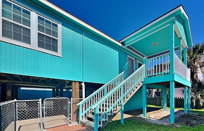 Blue Curlew - Photo 27