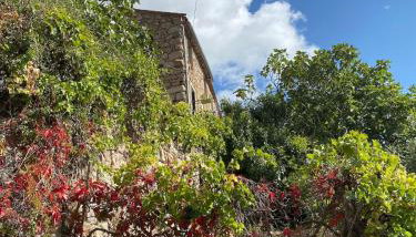 OTA T2 proche rivières et plages, randonnées - Foto 5