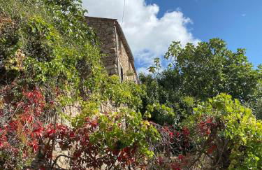 OTA T2 proche rivières et plages, randonnées - Foto 5