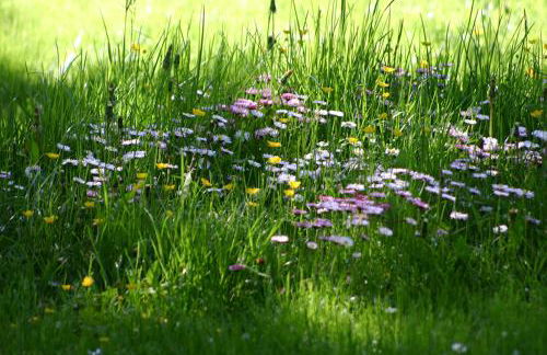 Appartementhof Stadler - Foto 71