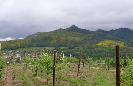 Casa de Ladreda - Foto 39