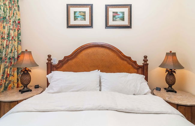 Fun In The Sun in Reunion - Foto 6