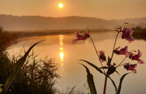 Fachwerkhof Klosterbuch - Foto 15