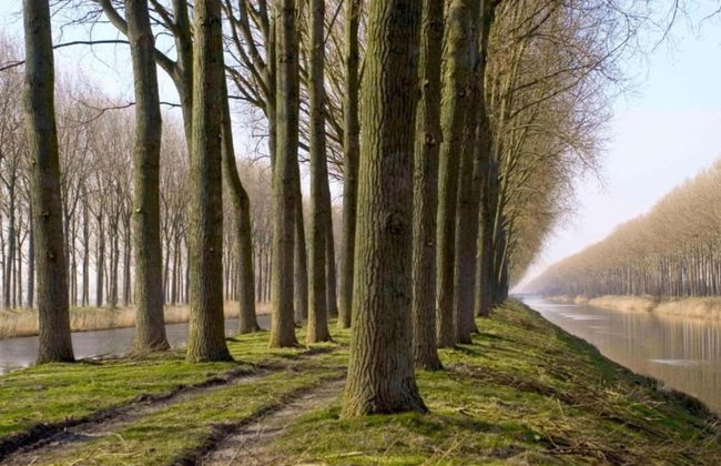 Cozy Holiday Home in Horebeke near Meadow - Photo 32