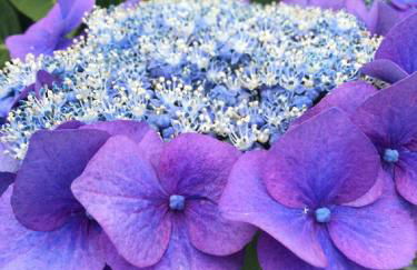 Residenza vista lago mozzafiato - Photo 44