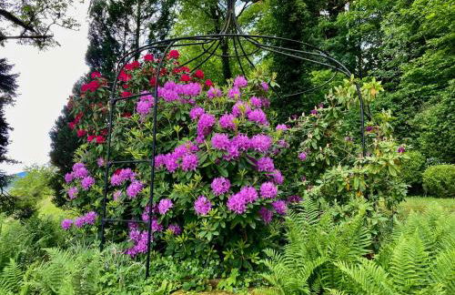 Haus Haselmaus - Zaunkönig - Foto 8