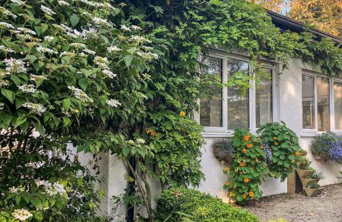 Primrose End - Foto 1