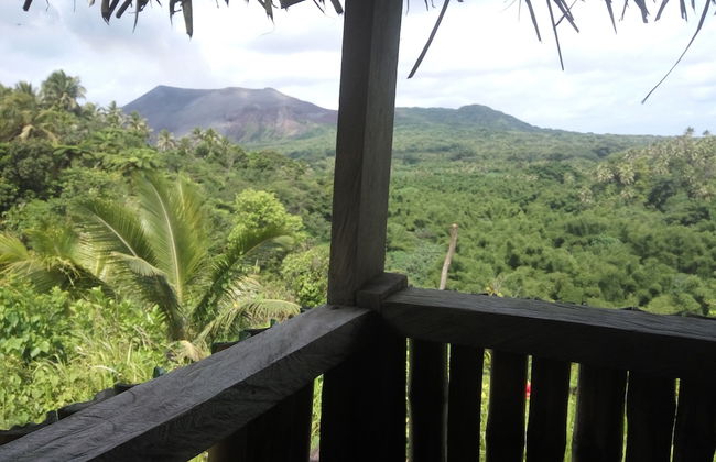 Castle Tree House - Photo 57