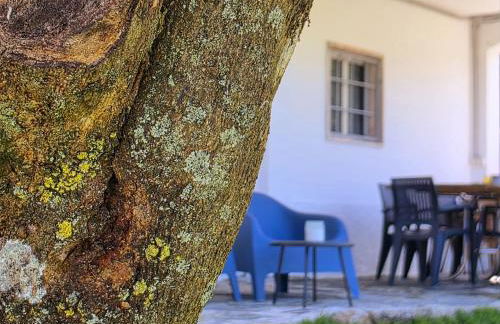 Adcasinha em Arganil - Foto 51