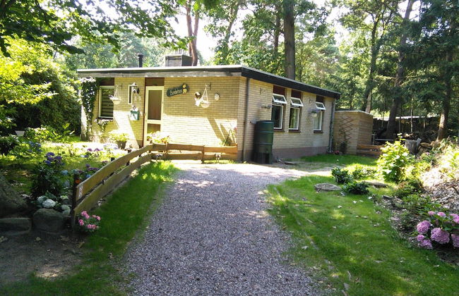 Holiday Home in Arrien Near Beerze Nature - Foto 21