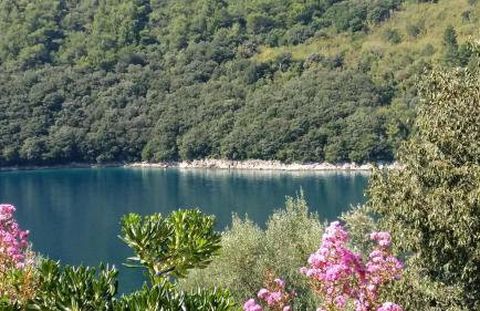 Villa Luma Apartments - Foto 16