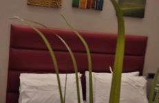 Casa Vacanze Piccolpasso 20 - Foto 35