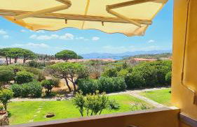 Stella di Coda Cavallo - Foto 15