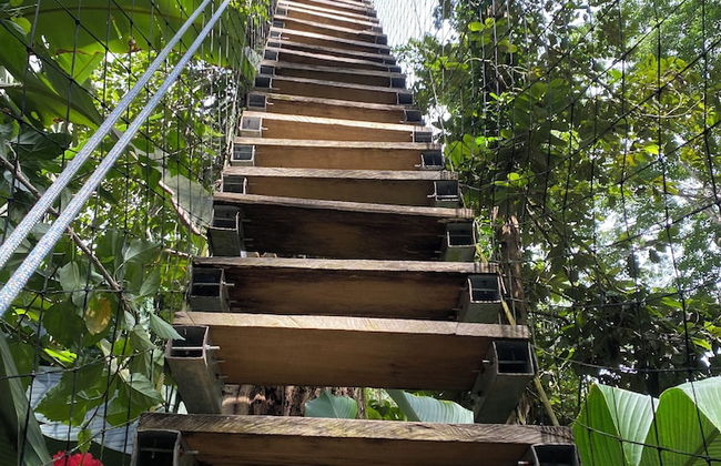 Green Jungle House - Photo 72