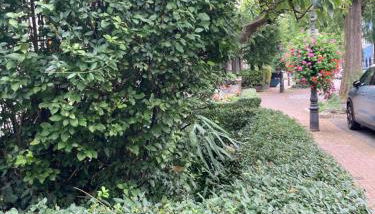 Premium Ruhiges ganzes Apartment 90 m 2 Schlafzimmer große Küche Wohnzimmer - Foto 2