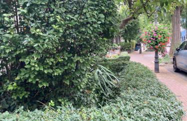 Premium Ruhiges ganzes Apartment 90 m 2 Schlafzimmer große Küche Wohnzimmer - Foto 2