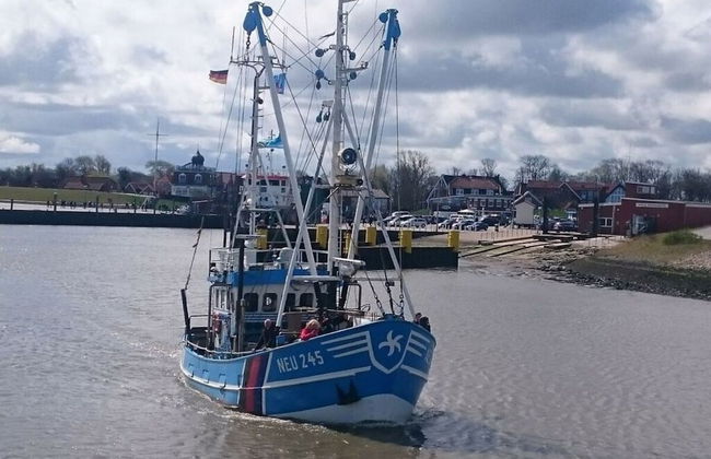 Dyke Space 50 m to the Beach sea - Foto 11