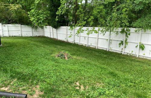 *Come home - 1 mile from Duke & Downtown Durham - Photo 16