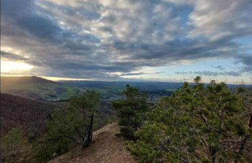 Ferienhaus Pauline am Glan - Foto 47