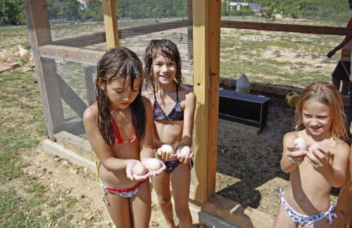 Maslina in Popovići (Haus für 5-7 Personen) - Photo 54