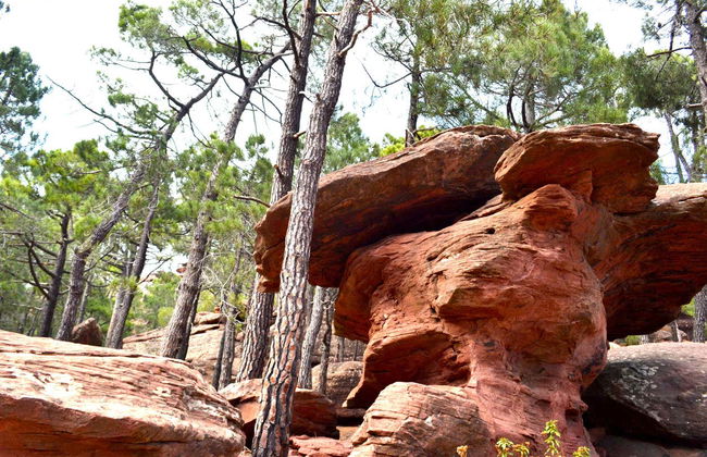 Visite des peintures rupestres de Pinares de Rodeno - Photo 7