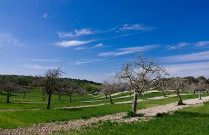 Son Vanrell in Montu ri - Foto 80