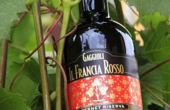 Agriturismo Gaggioli Borgo Delle Vigne - Foto 53