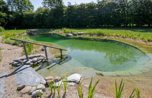 Blackthorn - Photo 19