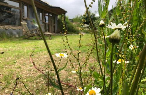 Rabbits ,1 bedroom, Dartmoor Hillside, Eco Hobbit style, Home - Foto 62