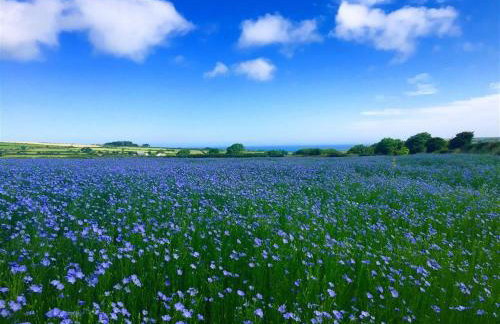 Stable Cottage - Foto 33