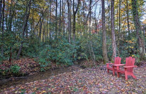 Tubes & Outdoor Games: North Georgia Mtn Retreat - Foto 36