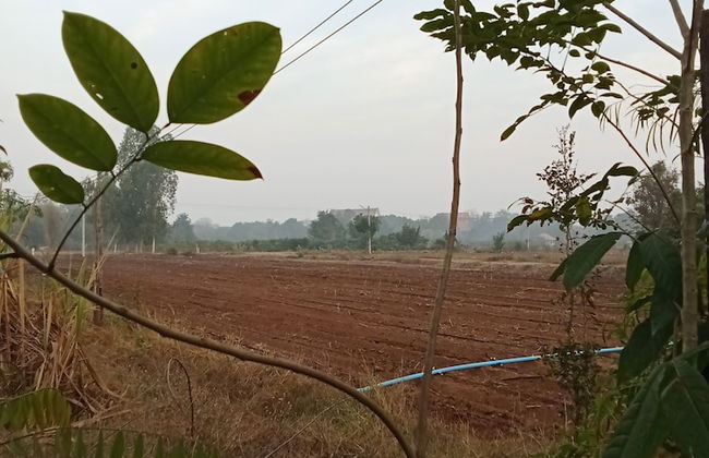 peaceland farmstay - Photo 55