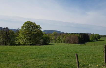 Harz-Butze - Foto 25