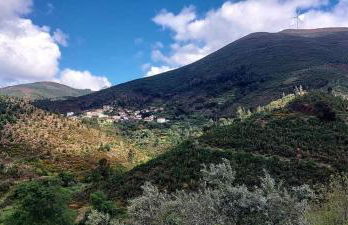 Casa da Mata de Fajão - Foto 6