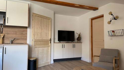 Appartement au pieds des pistes de ski - Foto 3