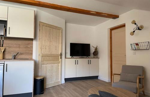 Appartement au pieds des pistes de ski - Foto 3