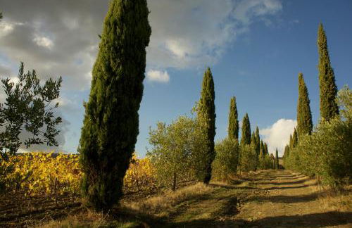 Castello di Volpaia - Foto 69