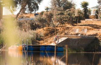 Monte Sardinha - Foto 32