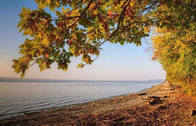 Reading Roof Cate Fuchsgraben - Foto 26