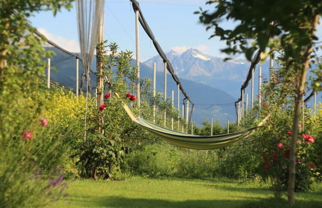 Holiday Apartment Krosshof - Photo 25