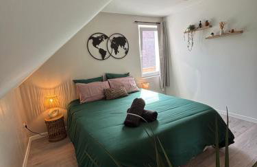 Le Col'Vert - Appartement 50m2 - Colmar Centre - Foto 8