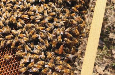 Agriturismo Ca' Cristane - Foto 47