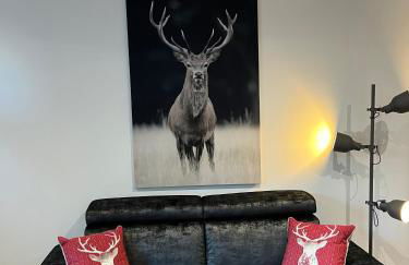 La croisée des chemins - Foto 6