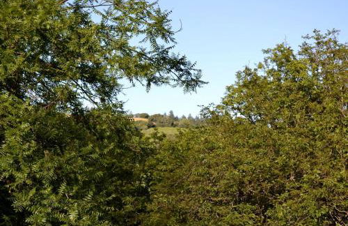 Beautiful Cottage Rental with Private River Beach on the Russian River, California - Foto 20