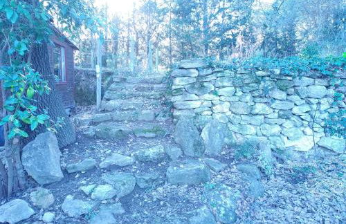 Sous un chêne bicentenaire - Foto 18