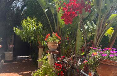 Très beau Studio lumineux dans Villa avec piscine - Foto 22