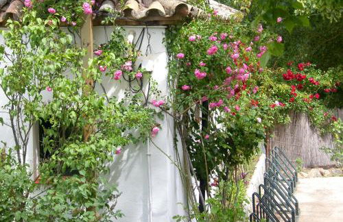 Batán de las Monjas - Foto 52