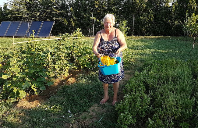 Casal Sant' Elena - Foto 26