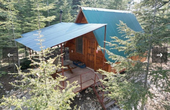 Cedrus Life Bungalow Tesisleri - Photo 7